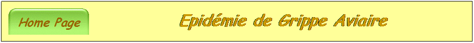 Zone de Texte:  Epidmie de Grippe Aviaire 
